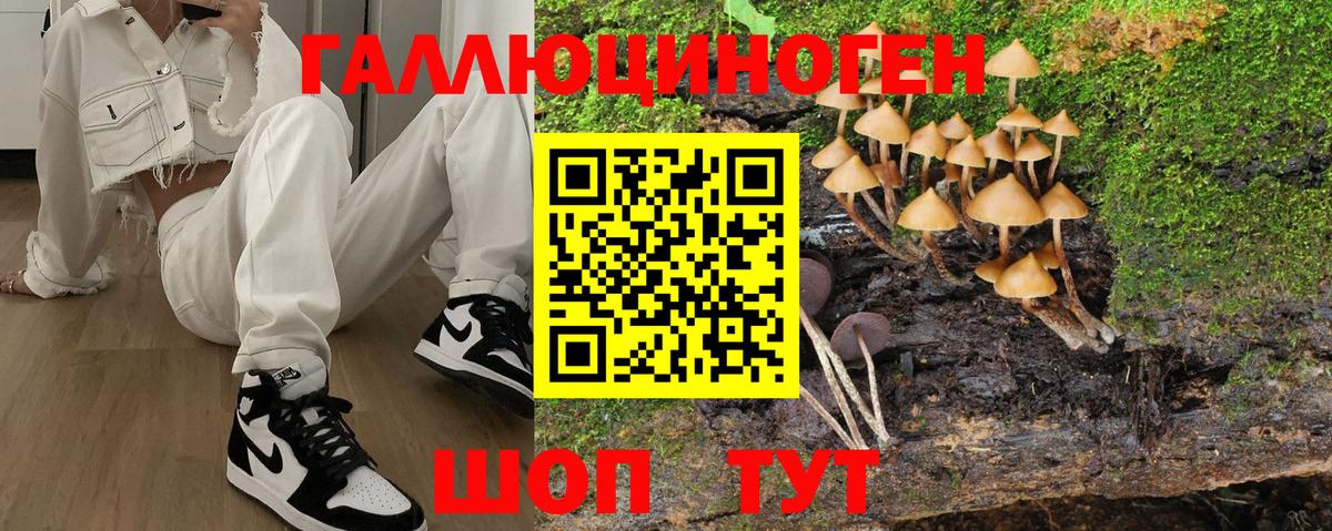 Галлюциногенные грибы прущие грибы  Псилоцибиновые грибы мухоморы  Вход с VPN  Биробиджан 