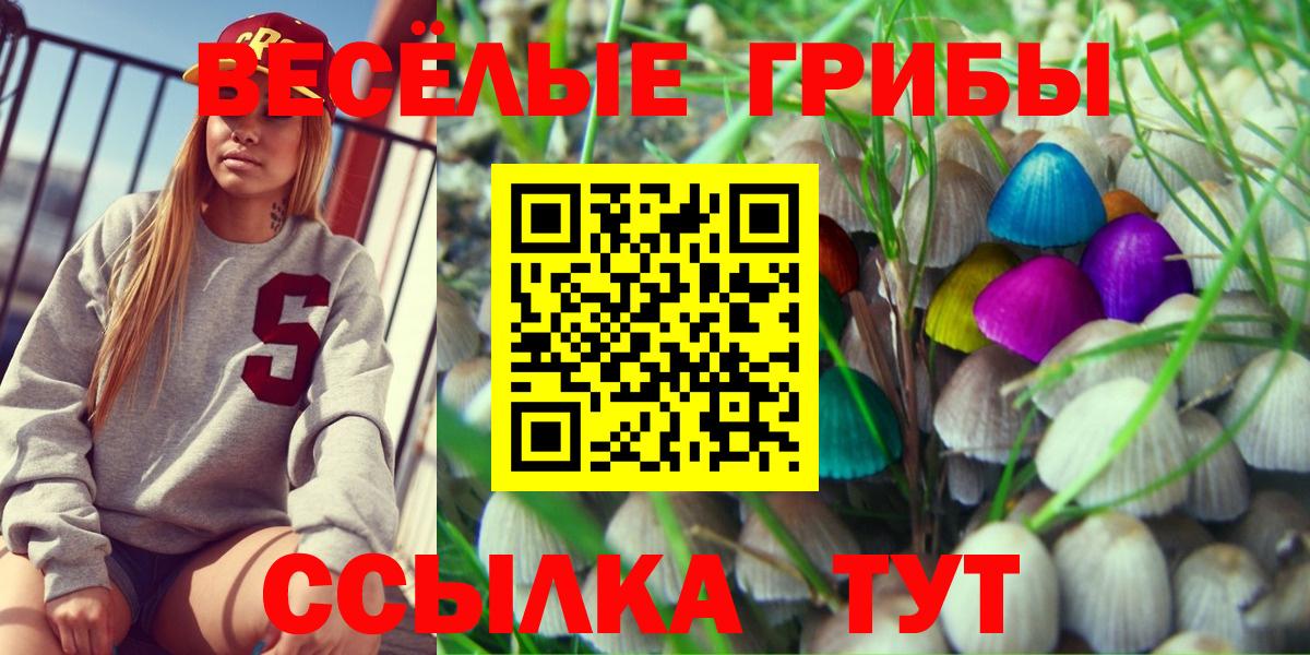 Псилоцибиновые грибы Psilocybe Биробиджан